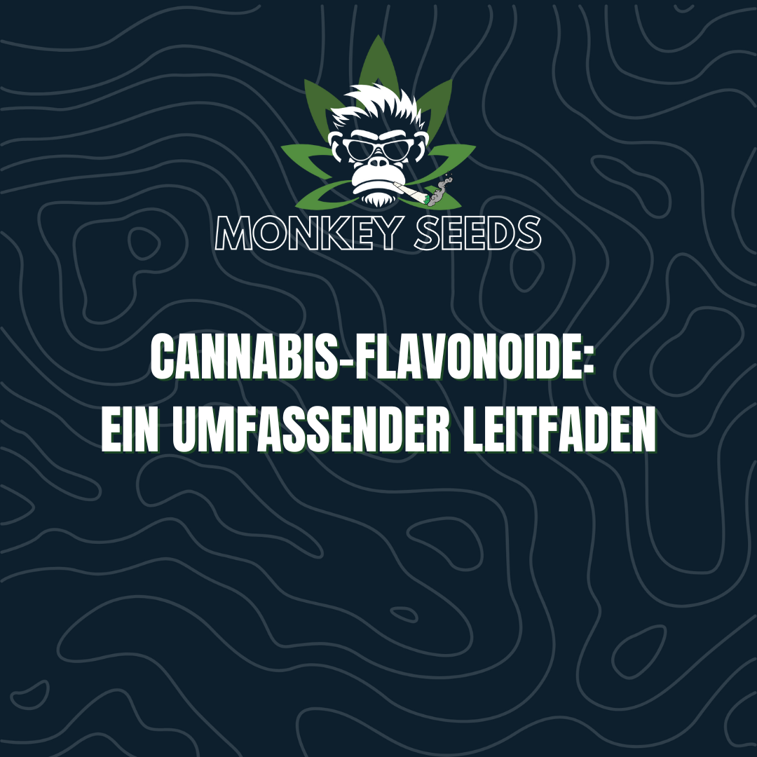 Cannabis-Flavonoide: Ein umfassender Leitfaden