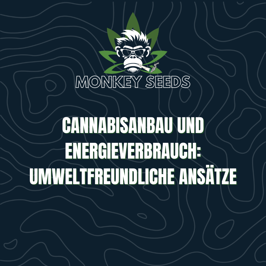 Cannabisanbau und Energieverbrauch: Umweltfreundliche Ansätze