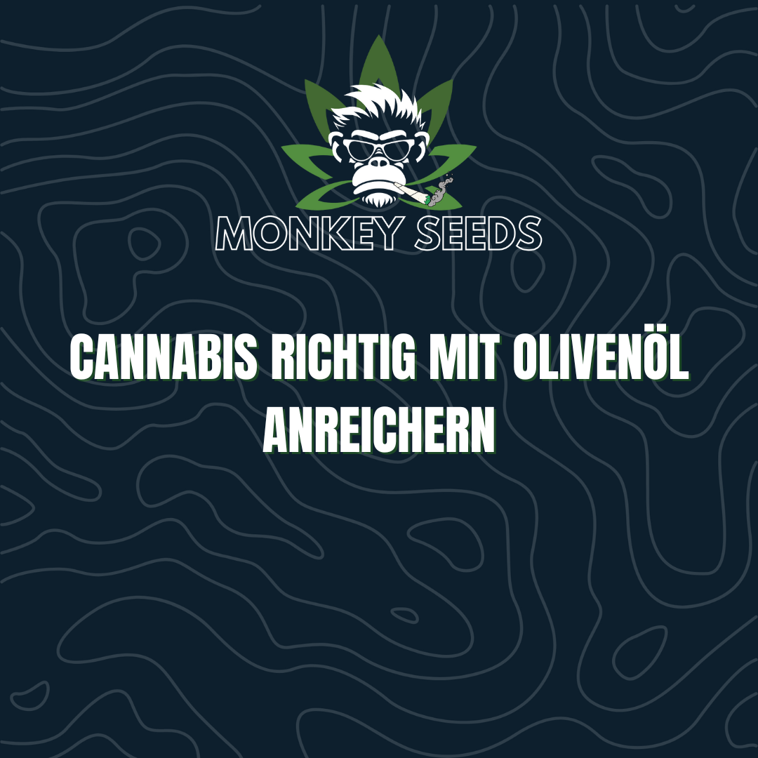 Cannabis richtig mit Olivenöl anreichern