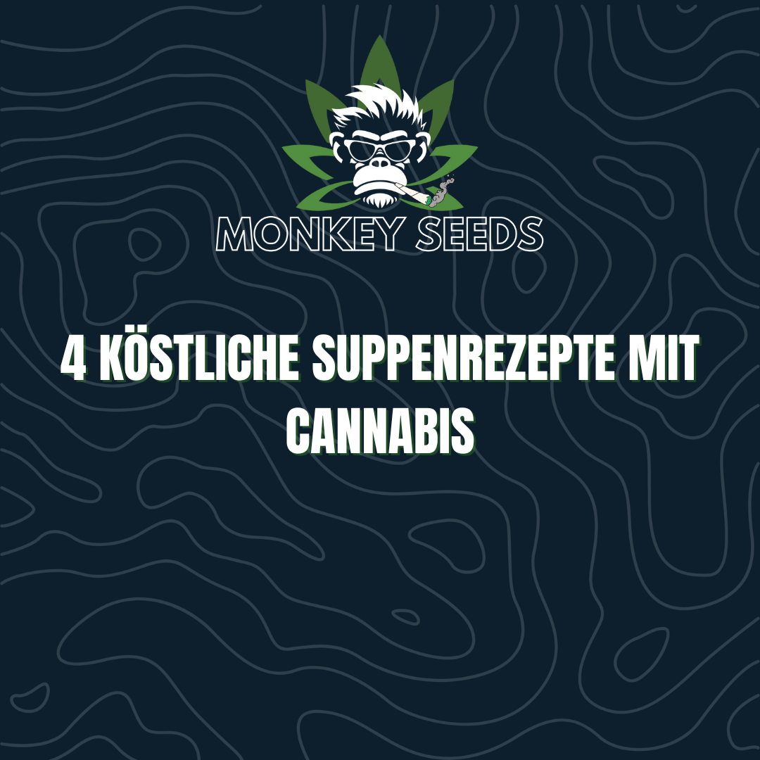 4 Köstliche Suppenrezepte mit Cannabis