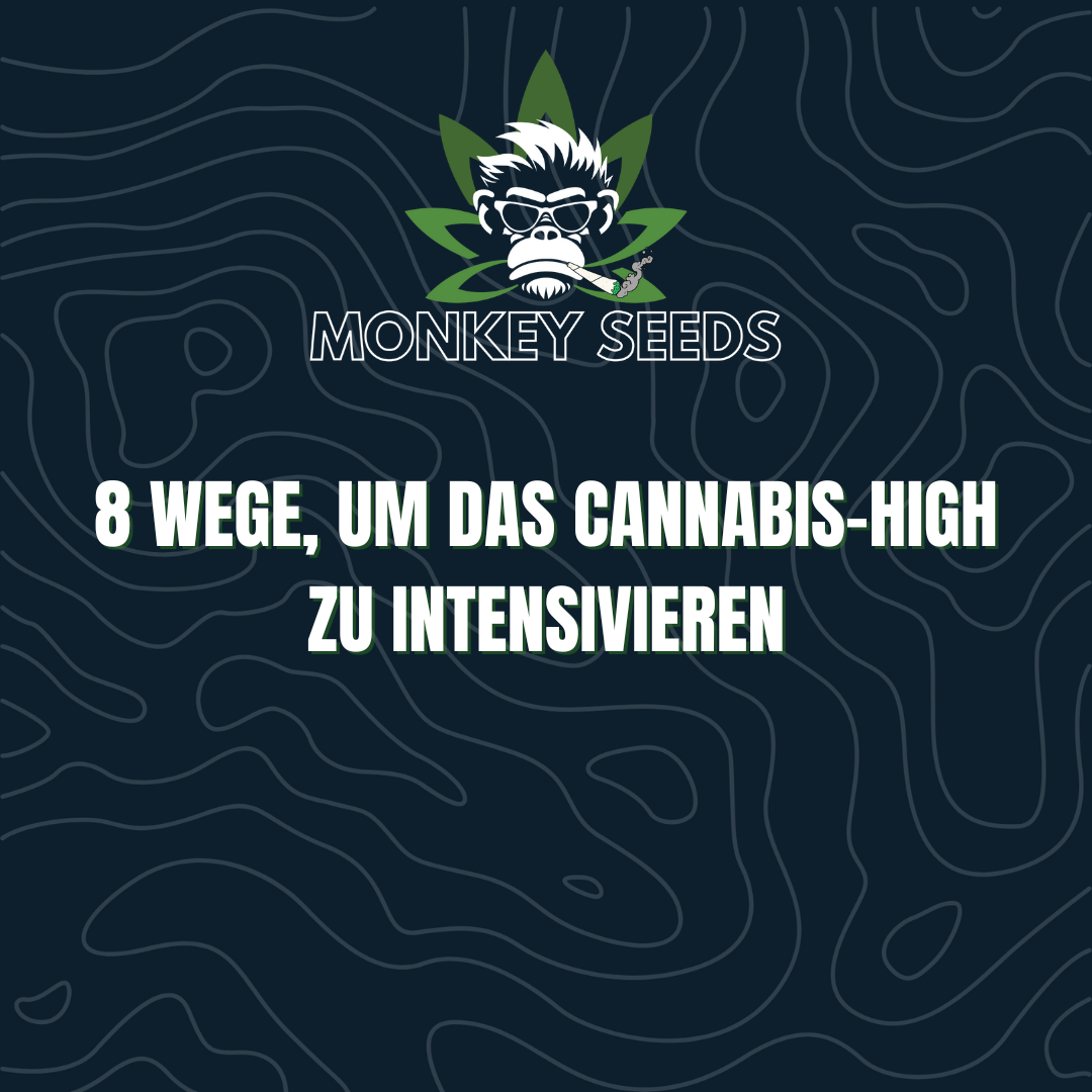 8 Wege, um das Cannabis-High zu intensivieren