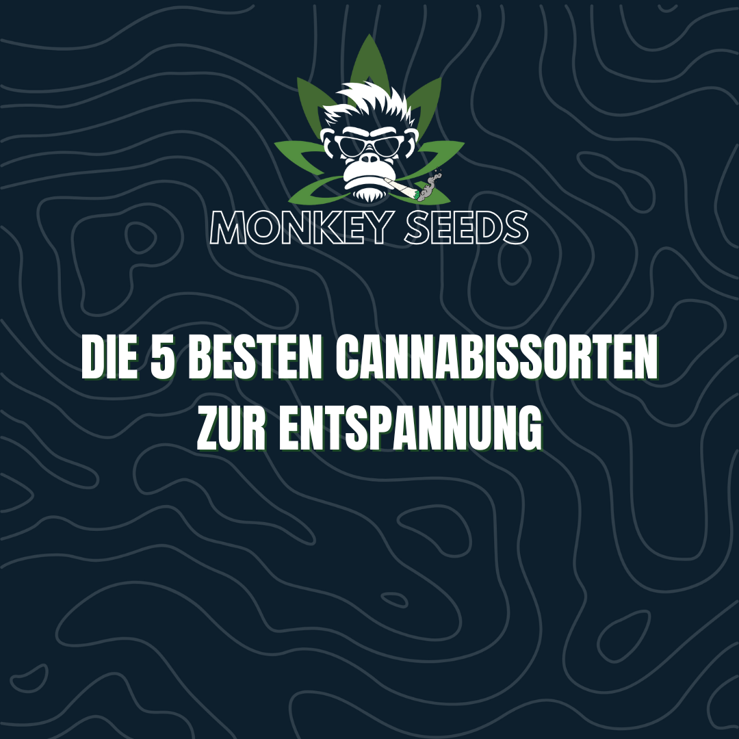 Die 5 besten Cannabissorten zur Entspannung