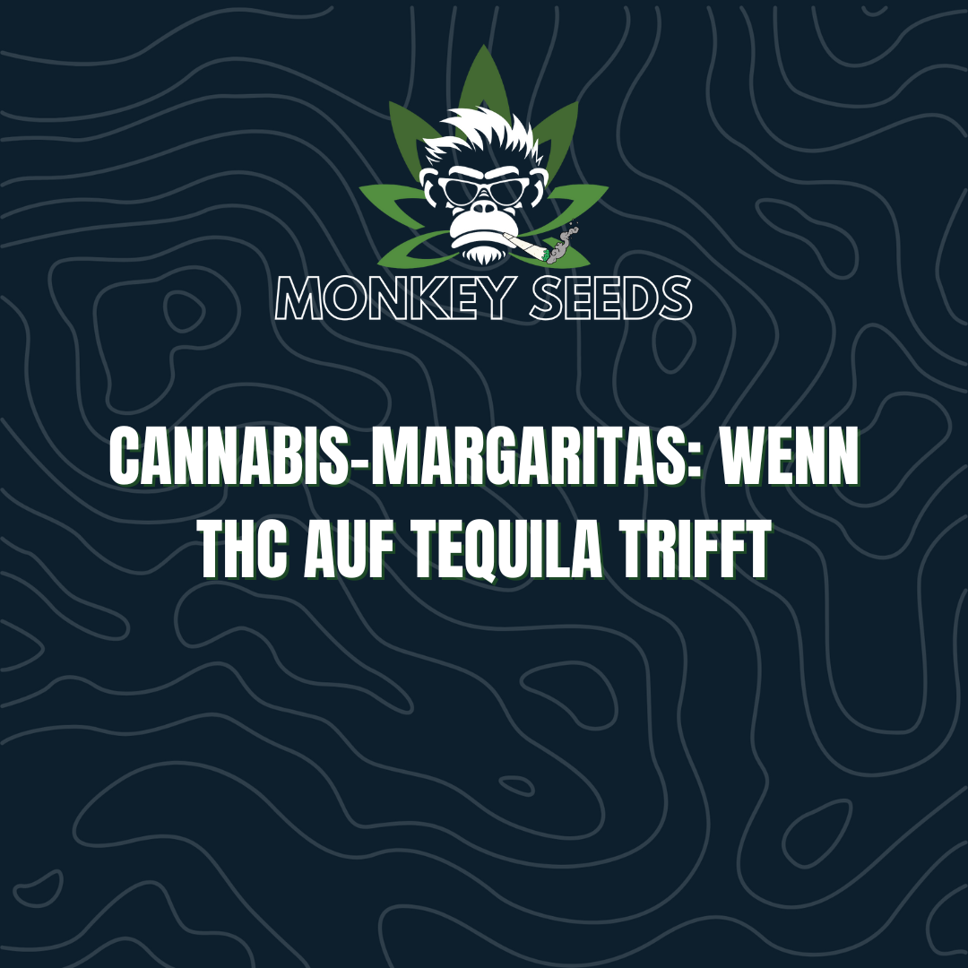 Cannabis-Margaritas: Wenn THC auf Tequila trifft