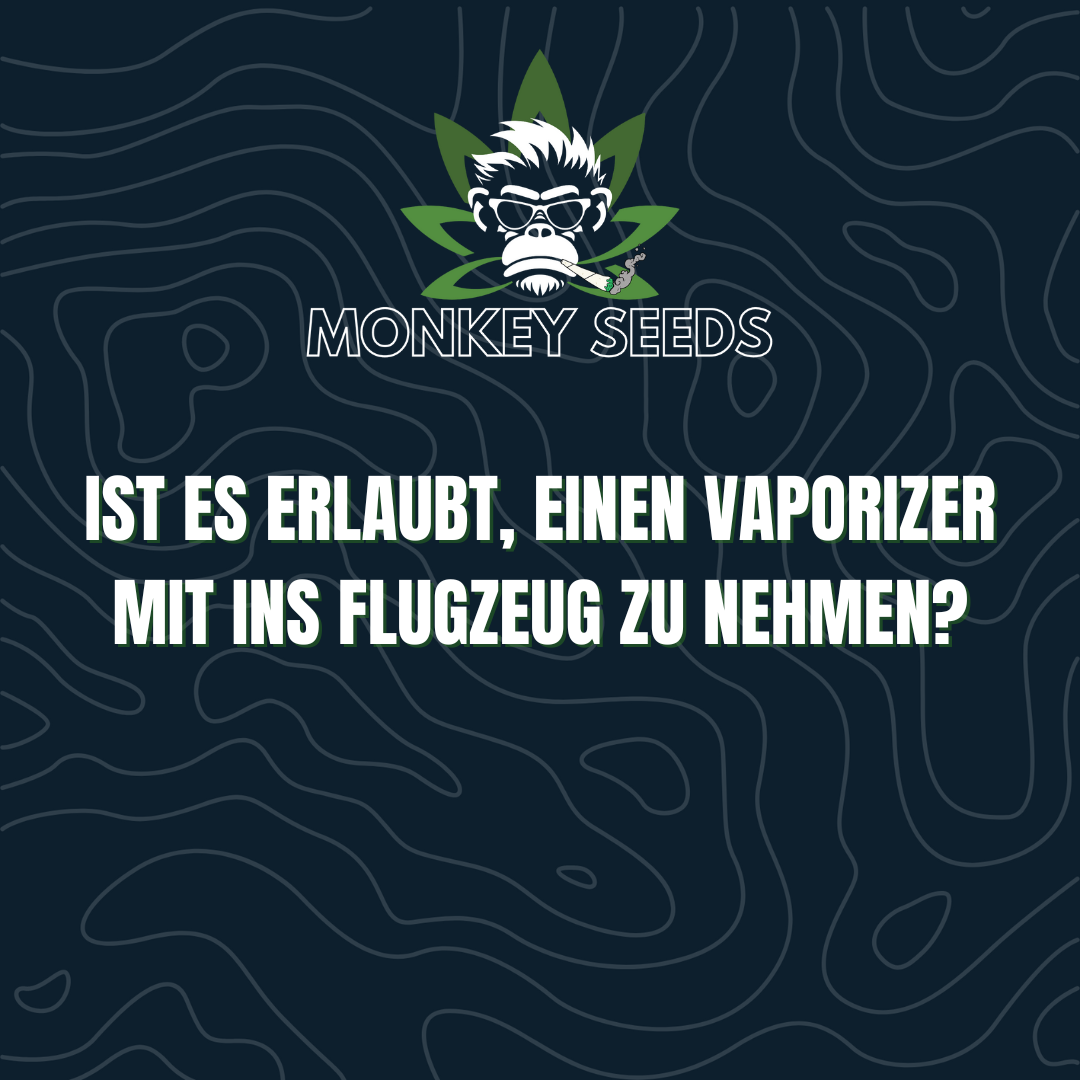 Ist es erlaubt, einen Vaporizer mit ins Flugzeug zu nehmen?