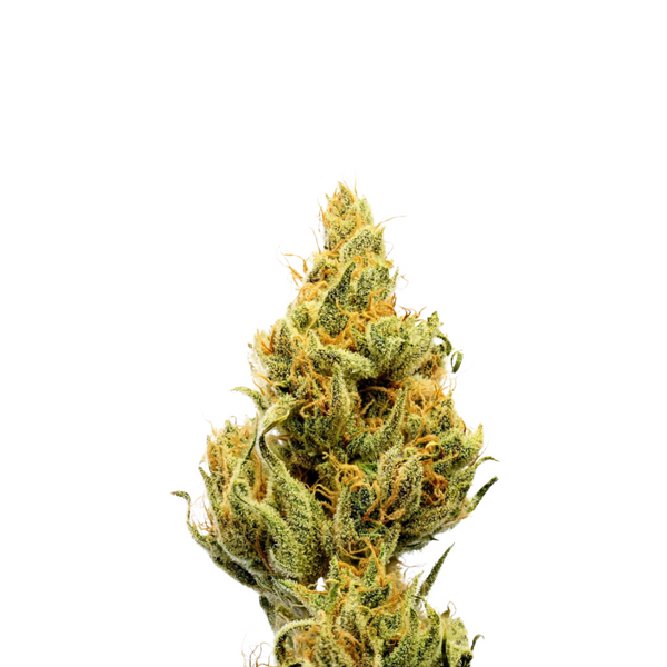 Amnesia 3枚 rf Thumbs Up Brand: Thumbs Up Brand Amnesia x Super Haze | Leafly