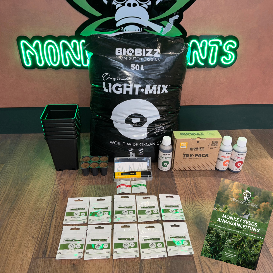 Monkey Seeds Starter Bundle