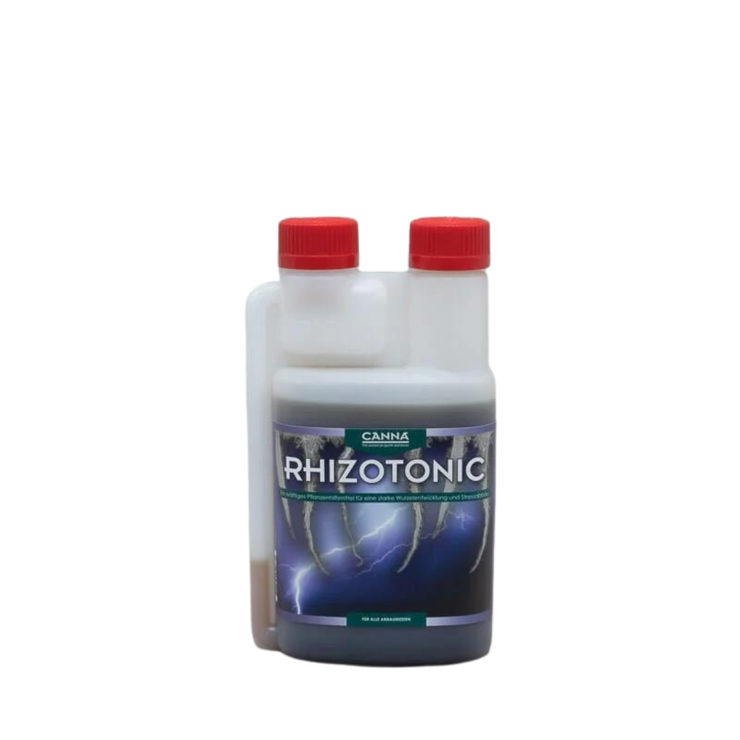 Canna Rhizotonic