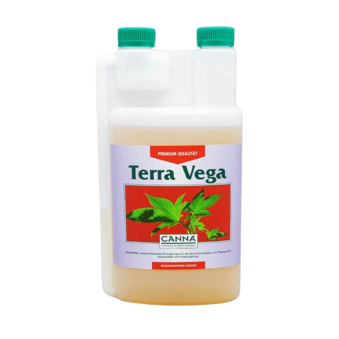 Canna Terra Vega