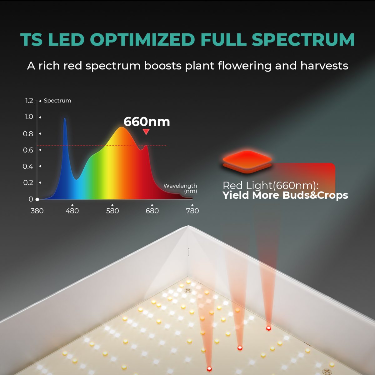 Mars Hydro TSL 2000